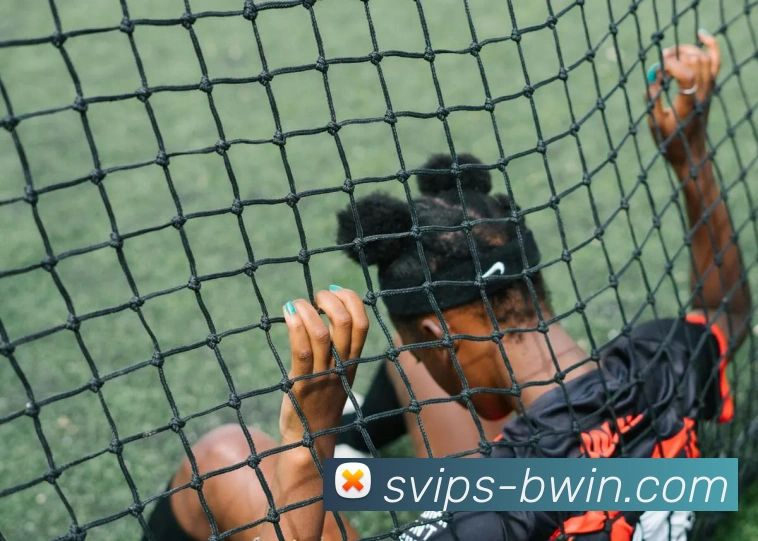 Bwin必赢官网发展历程